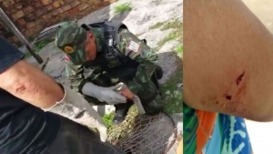 Macaco que aterrorizava vizinhança é capturado em Ananindeua