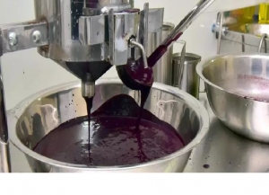 Ananindeua: batedores de açaí completam curso de higiene e boas práticas